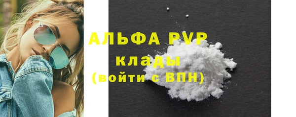 2c-b Ельня