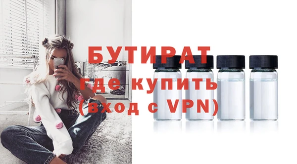 2c-b Ельня