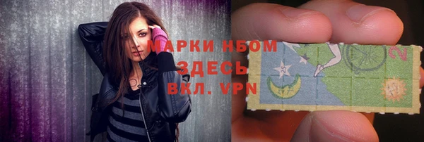 2c-b Ельня