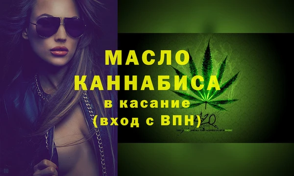 2c-b Ельня