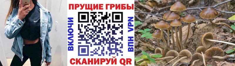 Псилоцибиновые грибы ЛСД  Купить закладки  Пыть-Ях 