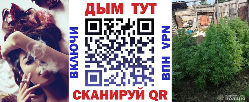 Купить закладки Пыть-Ях Шишки марихуана тримм